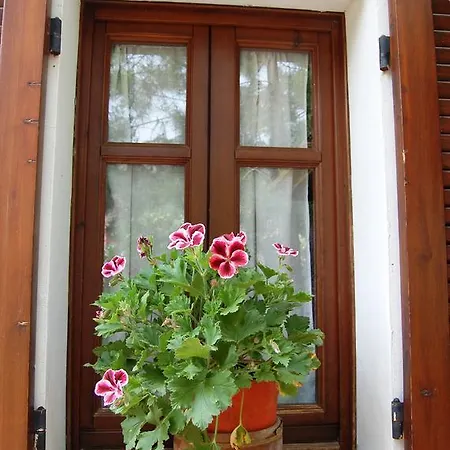Farmház L'aglientu
