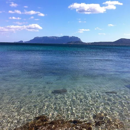 L'aglientu Κατάλυμα σε φάρμα