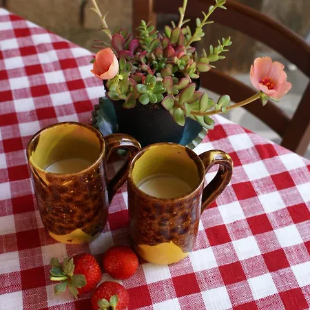 팜스테이 L'aglientu 로이리