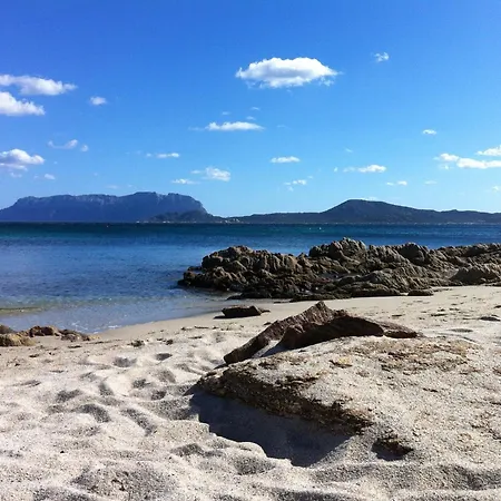 팜스테이 L'aglientu