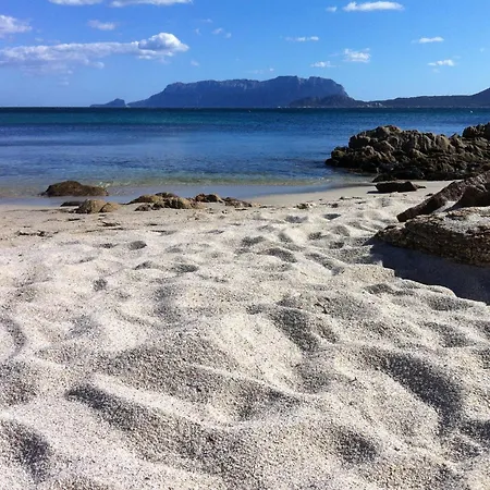 L'aglientu 팜스테이 *