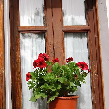 팜스테이 L'aglientu