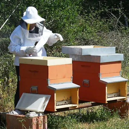 팜스테이 L'aglientu *