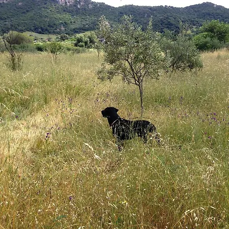 Farm stay L'aglientu Loiri Porto San Paolo