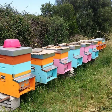Farm stay L'aglientu *