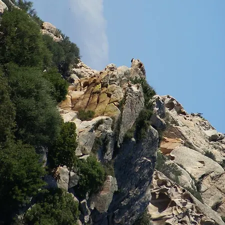 팜스테이 L'aglientu