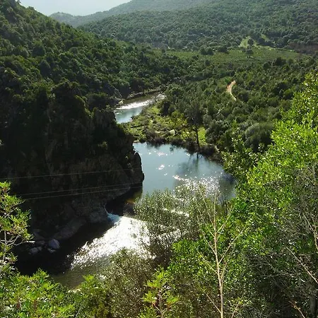 Κατάλυμα σε φάρμα L'aglientu