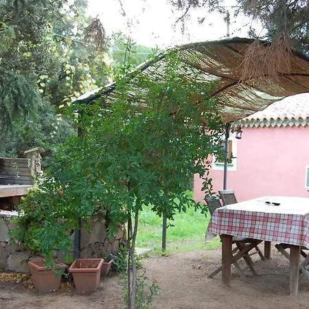 L'aglientu *