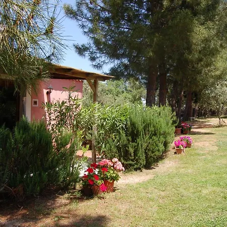 L'aglientu 팜스테이