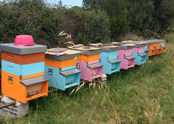 Vakantieboerderij L'aglientu