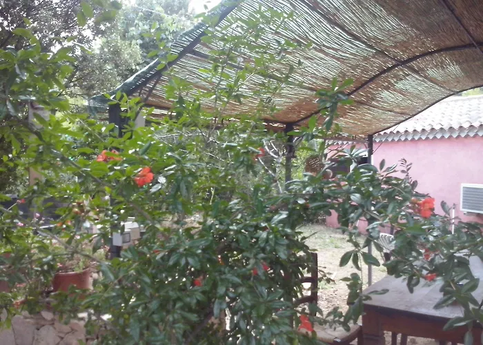 L'aglientu Vakantieboerderij
