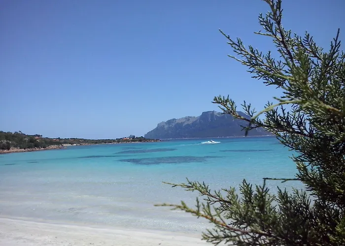 L'aglientu Vakantieboerderij