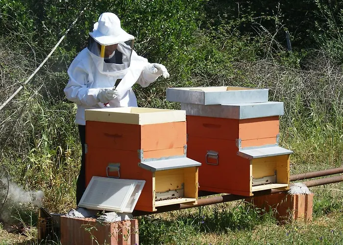 Séjour à la ferme L'aglientu *
