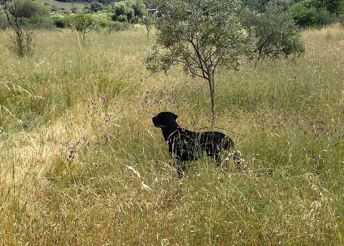Vakantieboerderij L'aglientu Loiri Porto San Paolo